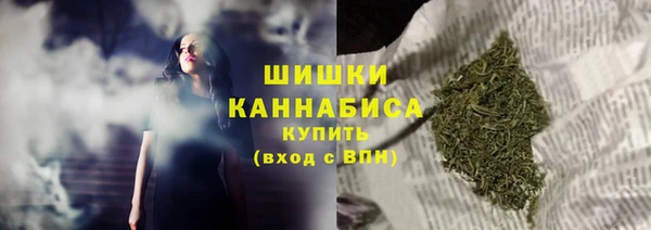 мдпв Костерёво