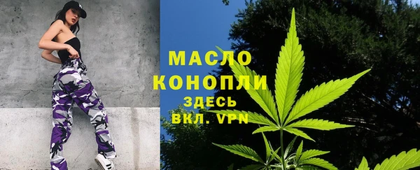 2c-b Краснослободск