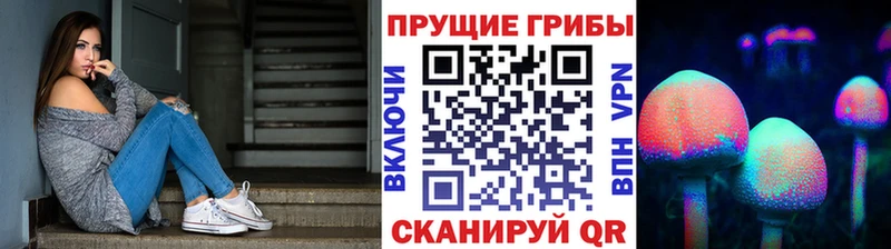 дарк нет формула  Магас  Псилоцибиновые грибы прущие грибы 